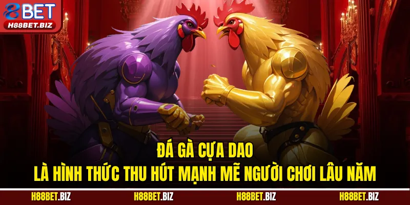 Đá gà cựa dao là hình thức thu hút mạnh mẽ người chơi lâu năm